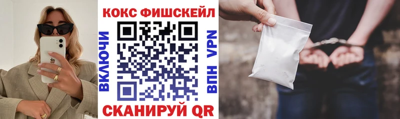 Кокаин FishScale  площадка клад  Устюжна 