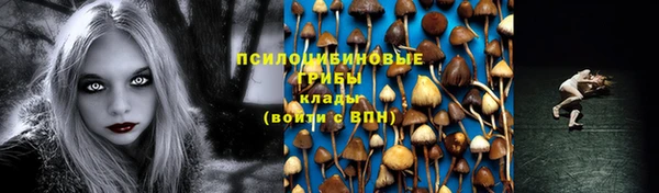 трава Балахна