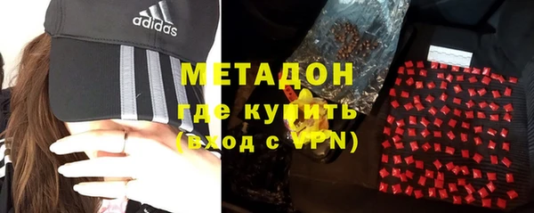 прущие грибы Балабаново