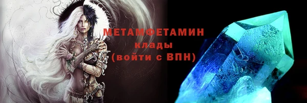 прущие грибы Балабаново