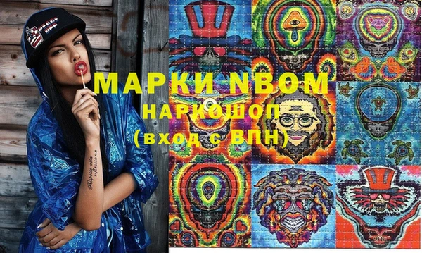 прущие грибы Балабаново