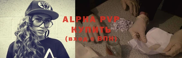 прущие грибы Балабаново