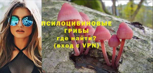 прущие грибы Балабаново