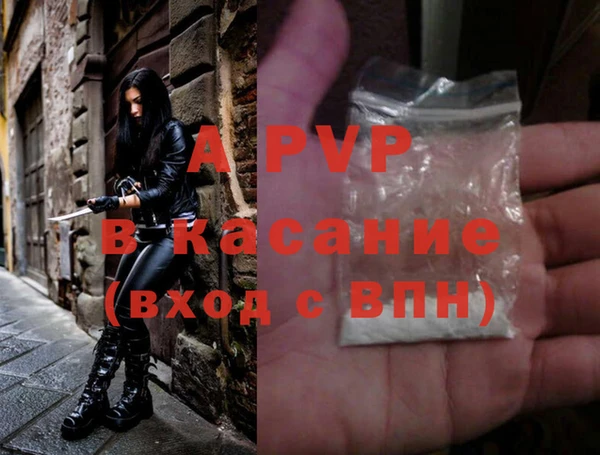 прущие грибы Балабаново