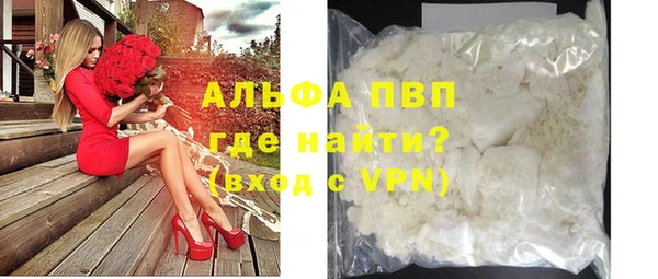 прущие грибы Балабаново