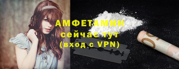 прущие грибы Балабаново